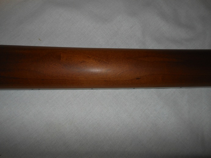 Surfliner Deluxe Picture 6